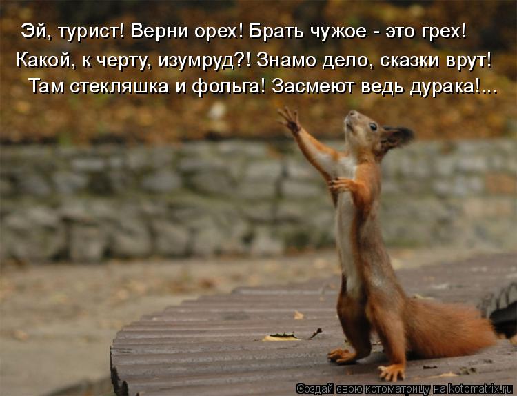 Там стекляшка и фольга! Засмеют ведь дурака!... Эй, турист! Верни орех! Брать чужое - это грех! Какой... Котоматрица: Там стекляшка и фольга! Засмеют ведь дурака!... Эй, турист! Верни орех! Брать чужое - это грех! Какой, к черту, изумруд?! Знамо дело, сказки врут!