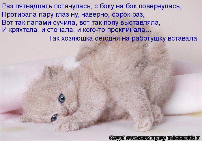 Котоматрица: Раз пятнадцать потянулась, с боку на бок повернулась, Протирала пару глаз ну, наверно, сорок раз, Вот так лапами сучила, вот так попу выставл