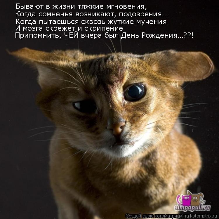 Котоматрица: Бывают в жизни тяжкие мгновения, Когда сомненья возникают, подозрения… Когда пытаешься сквозь жуткие мучения И мозга скрежет и скрипение 