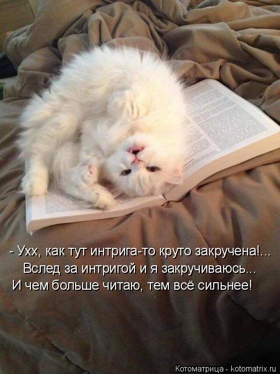 Котоматрица: - Ухх, как тут интрига-то круто закручена!... Вслед за интригой и я закручиваюсь... И чем больше читаю, тем всё сильнее!