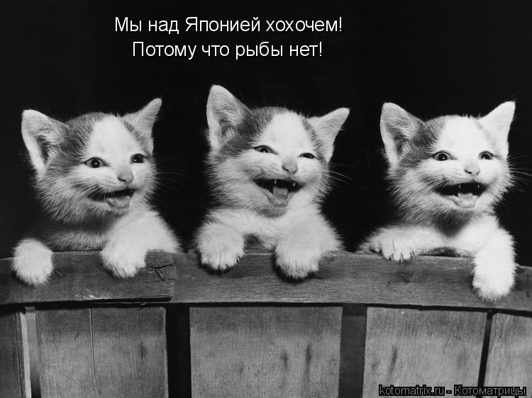 Котоматрица: Мы над Японией хохочем! Потому что рыбы нет!