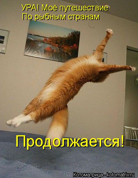 Котоматрица: УРА! Моё путешествие  По рыбным странам Продолжается!