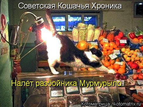 Котоматрица: Советская Кошачья Хроника Р Налёт разбойника Мурмурыло