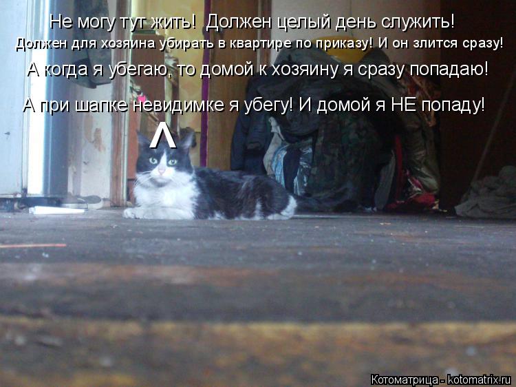Котоматрица: Не могу тут жить!  Должен целый день служить! Должен для хозяина убирать в квартире по приказу! И он злится сразу! А когда я убегаю, то домой к 