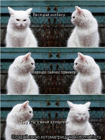 Вася дай колбасу- -Хорошо сейчас принесу Тьфу ты у меня аллергия!-... Котоматрица: Вася дай колбасу- -Хорошо сейчас принесу Тьфу ты у меня аллергия!-