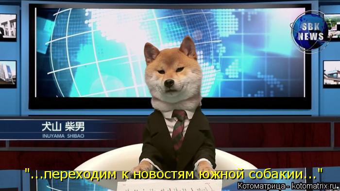 "...переходим к новостям южной собакии..."... Котоматрица: "...переходим к новостям южной собакии..."