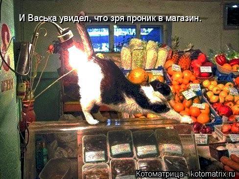 Котоматрица: И Васька увидел, что зря проник в магазин.
