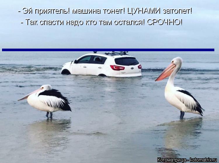 - Эй приятель! машина тонет! ЦУНАМИ затопет! - Так спасти надо кто там остался! СРОЧНО! _____________... Котоматрица: - Эй приятель! машина тонет! ЦУНАМИ затопет! - Так спасти надо кто там остался! СРОЧНО! ______________ ______________ ______________