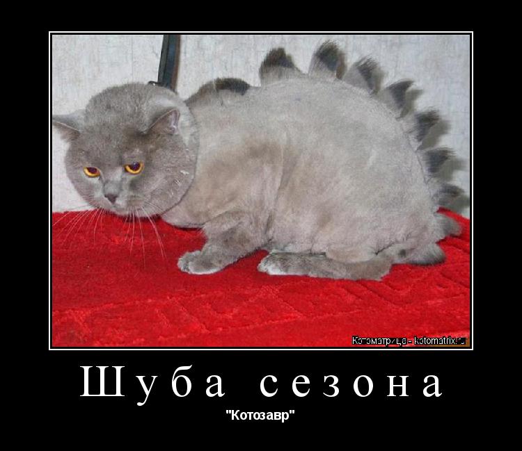 Шуба сезона "Котозавр"... Котоматрица: Шуба сезона "Котозавр"