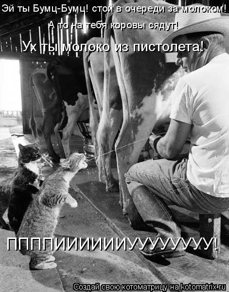Эй ты Бумц-Бумц! стой в очереди за молоком! А то на тебя коровы сядут! Ух ты молоко из пистолета! ППП... Котоматрица: Эй ты Бумц-Бумц! стой в очереди за молоком! А то на тебя коровы сядут! Ух ты молоко из пистолета! ППППИИИИИИУУУУУУУУ!