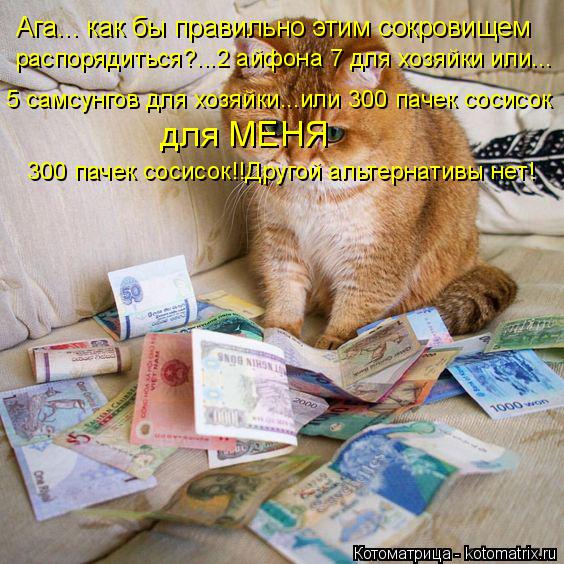 Ага... как бы правильно этим сокровищем распорядиться?...2 айфона 7 для хозяйки или... 5 самсунгов дл... Котоматрица: Ага... как бы правильно этим сокровищем распорядиться?...2 айфона 7 для хозяйки или... 5 самсунгов для хозяйки...или 300 пачек сосисок для МЕНЯ 300 п