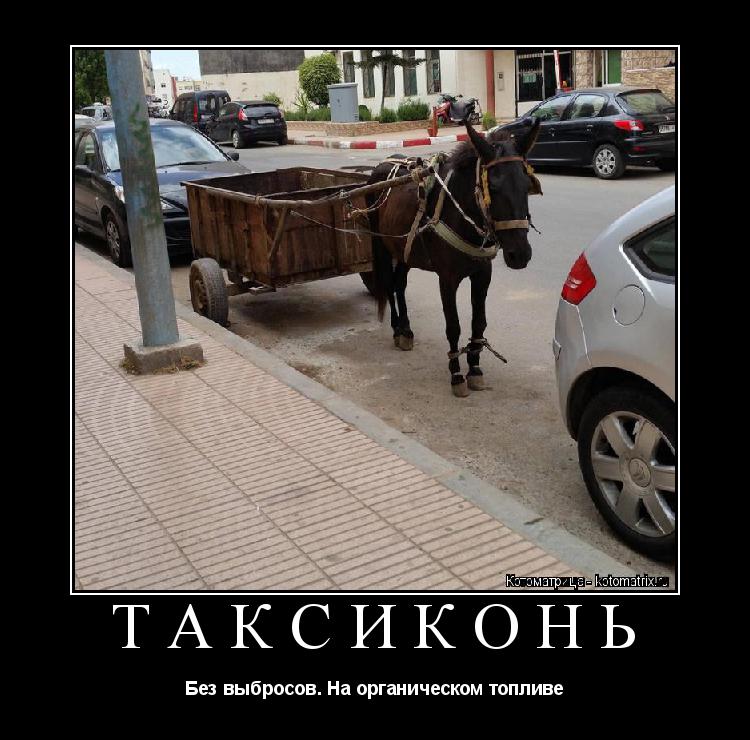 Котоматрица: ТАКСИКОНЬ Без выбросов. На органическом топливе