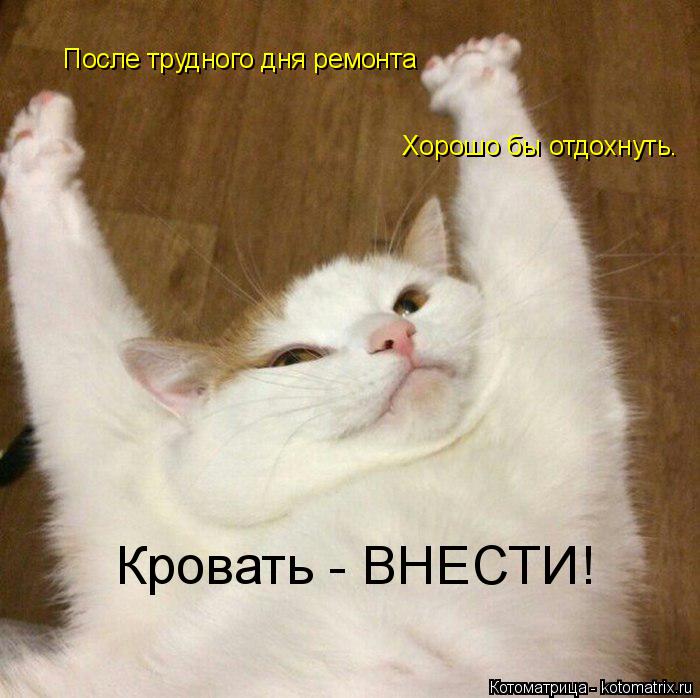 Котоматрица: После трудного дня ремонта Хорошо бы отдохнуть. Кровать - ВНЕСТИ!