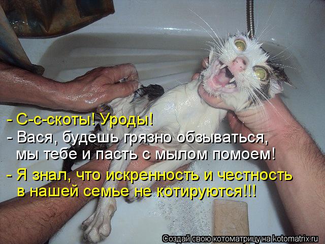 Котоматрица: - С-с-скоты! Уроды! - Вася, будешь грязно обзываться,  мы тебе и пасть с мылом помоем! - Я знал, что искренность и честность в нашей семье не коти