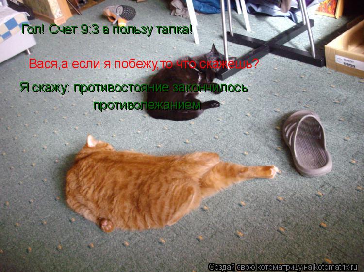 Котоматрица: Гол! Счет 9:3 в пользу тапка! Вася,а если я побежу,то что скажешь? Я скажу: противостояние закончилось  противолежанием