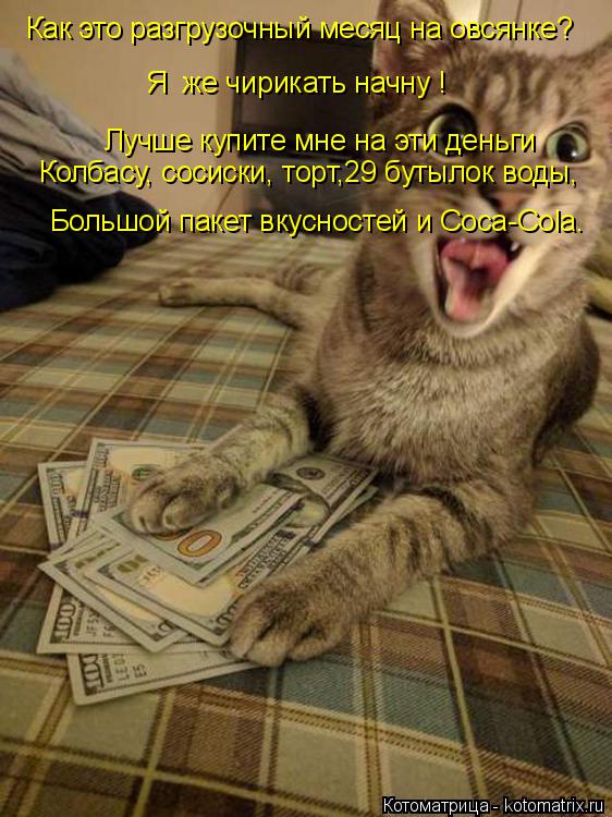 Котоматрица: Как это разгрузочный месяц на овсянке? Я  же чирикать начну ! Лучше купите мне на эти деньги Колбасу, сосиски, торт,29 бутылок воды, Большой па