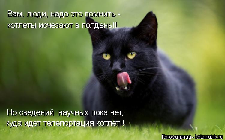 Котоматрица: Вам, люди, надо это помнить - куда идет телепортация котлет!! котлеты исчезают в полдень!! Но сведений  научных пока нет,