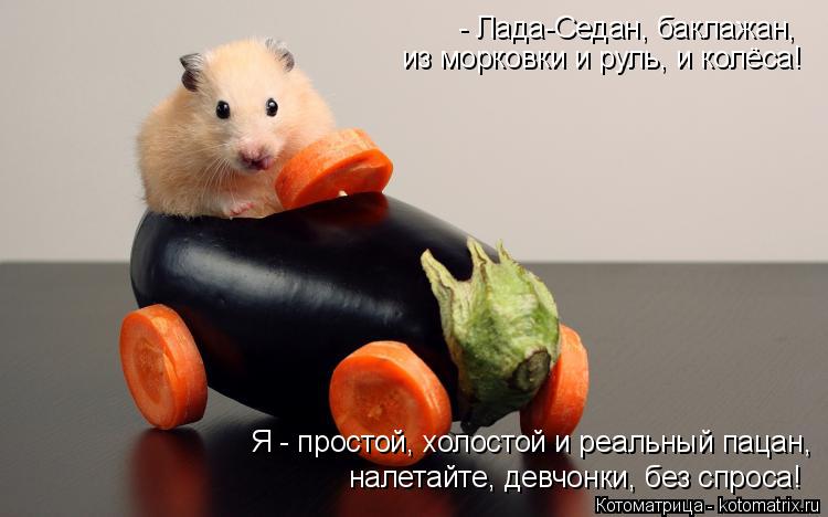 из морковки и руль, и колёса! Я - простой, холостой и реальный пацан, - Лада-Седан, баклажан, нал... Котоматрица: из морковки и руль, и колёса! Я - простой, холостой и реальный пацан, - Лада-Седан, баклажан, налетайте, девчонки, без спроса!