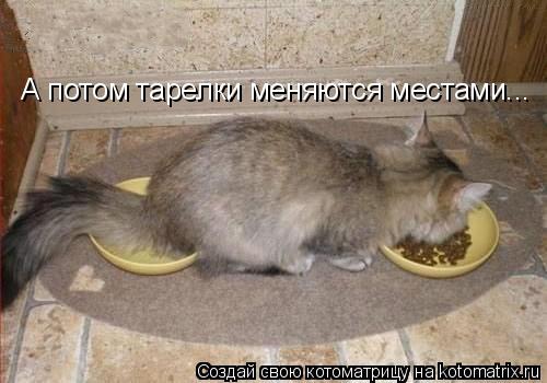 Котоматрица: А потом тарелки меняются местами...