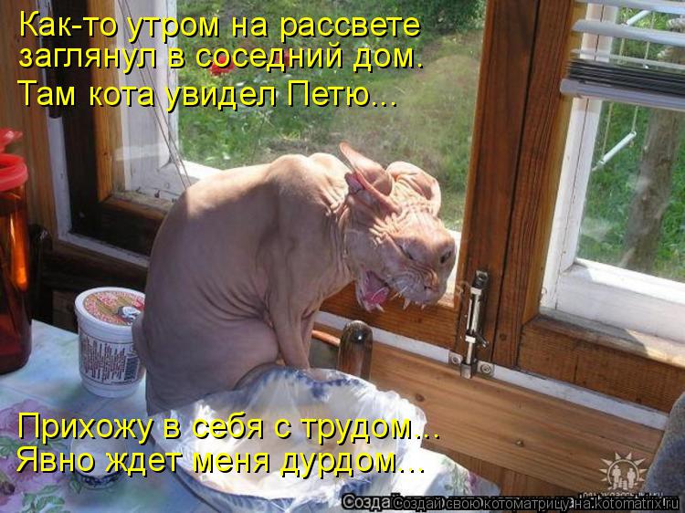 Котоматрица: Как-то утром на рассвете заглянул в соседний дом. Там кота увидел Петю... Прихожу в себя с трудом... Явно ждет меня дурдом...