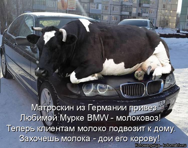 Котоматрица: Матроскин из Германии привез Теперь клиентам молоко подвозит к дому. Любимой Мурке BMW - молоковоз! Захочешь молока - дои его корову!