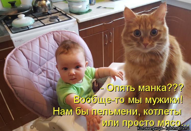 Котоматрица: - Опять манка??? Вообще-то мы мужики! Нам бы пельмени, котлеты  или просто мясо...