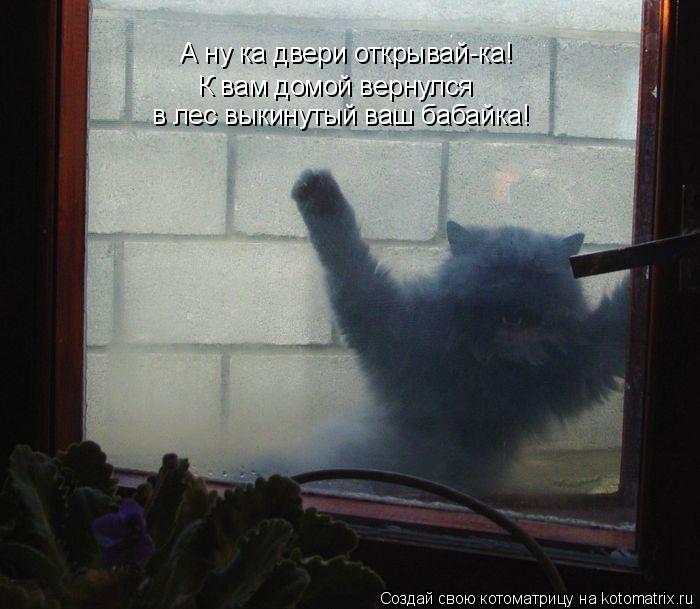Котоматрица: А ну ка двери открывай-ка! К вам домой вернулся в лес выкинутый ваш бабайка!