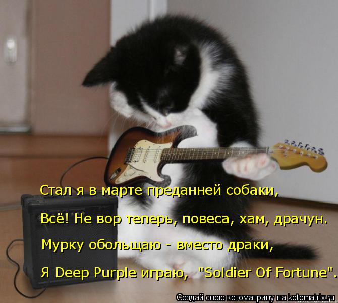 Мурку обольщаю - вместо драки, Всё! Не вор теперь, повеса, хам, драчун. Стал я в марте преданней соба... Котоматрица: Мурку обольщаю - вместо драки, Всё! Не вор теперь, повеса, хам, драчун. Стал я в марте преданней собаки, Я Deep Purple играю, "Soldier Of Fortune".