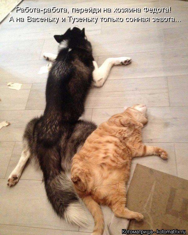 Котоматрица: Работа-работа, перейди на хозяина Федота! А на Васеньку и Тузеньку только сонная зевота...