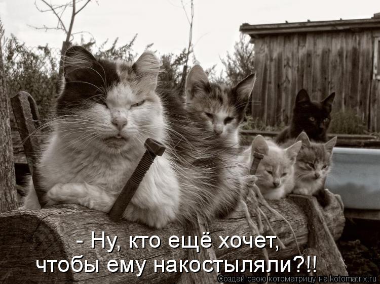 - Ну, кто ещё хочет, чтобы ему накостыляли?!!... Котоматрица: - Ну, кто ещё хочет, чтобы ему накостыляли?!!