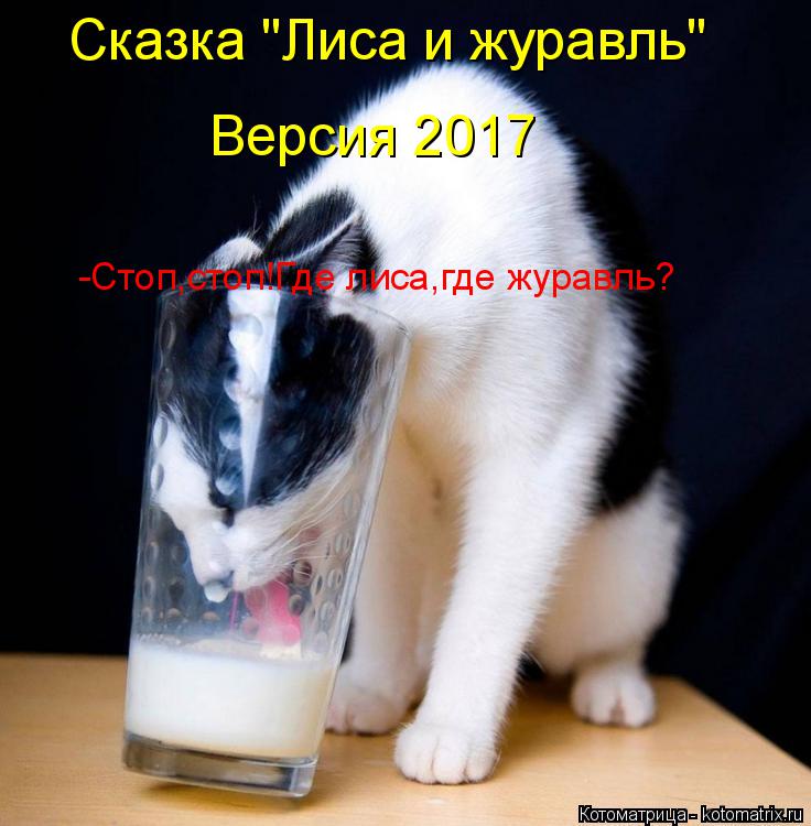 Котоматрица: Сказка "Лиса и журавль" Версия 2017 -Стоп,стоп!Где лиса,где журавль?