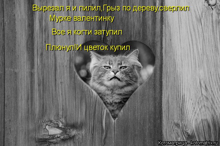 Котоматрица: Вырезал я и пилил,Грыз по дереву,сверлил Мурке валентинку Все я когти затупил Плюнул!И цветок купил