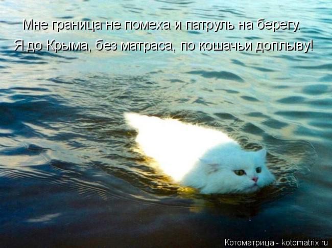 Котоматрица: Я до Крыма, без матраса, по кошачьи доплыву! Мне граница не помеха и патруль на берегу.