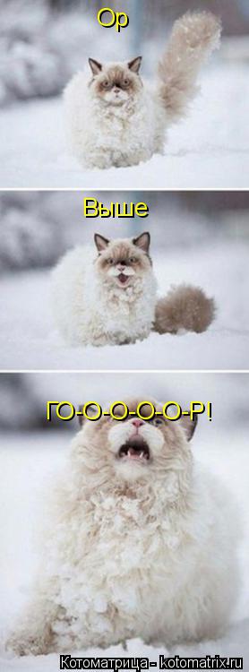 Котоматрица: Ор Выше ГО-О-О-О-О-Р!