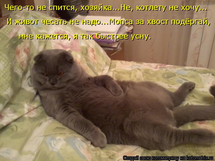 Чего-то не спится, хозяйка...Не, котлету не хочу... И живот чесать не надо...Мопса за хвост подёргай,... Котоматрица: Чего-то не спится, хозяйка...Не, котлету не хочу... И живот чесать не надо...Мопса за хвост подёргай, мне кажется, я так быстрее усну.