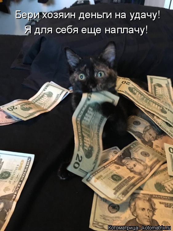 Котоматрица: Бери хозяин деньги на удачу! Я для себя еще наплачу!