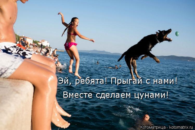 Эй, ребята! Прыгай с нами! Вместе сделаем цунами!... Котоматрица: Эй, ребята! Прыгай с нами! Вместе сделаем цунами!