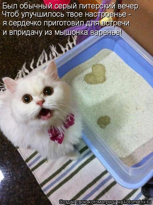 Котоматрица: я сердечко приготовил для встречи и впридачу из мышонка варенье! Был обычный серый питерский вечер. Чтоб улучшилось твое настроенье -
