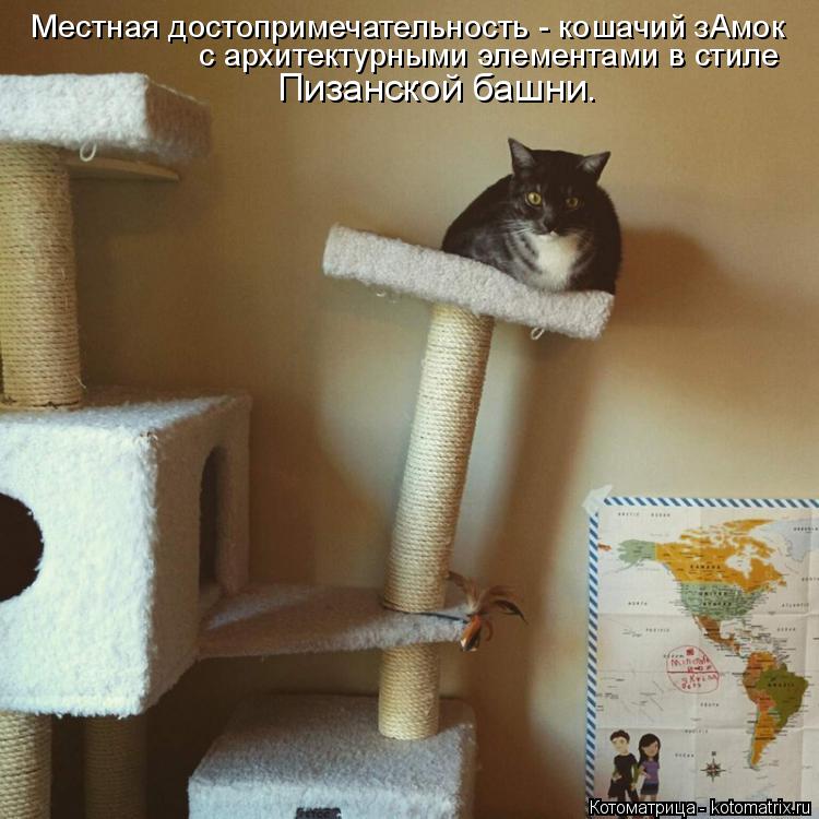 Котоматрица: Местная достопримечательность - кошачий зАмок с архитектурными элементами в стиле  Пизанской башни.