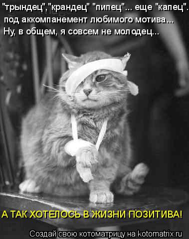Котоматрица: "трындец","крандец" "пипец"... еще "капец"... под аккомпанемент любимого мотива... Ну, в общем, я совсем не молодец... А ТАК ХОТЕЛОСЬ В ЖИЗНИ ПОЗИТИВ