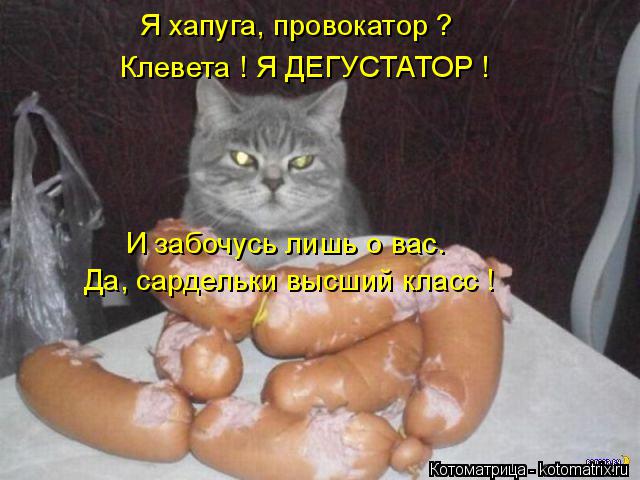 Котоматрица: Я хапуга, провокатор ? Клевета ! Я ДЕГУСТАТОР ! И забочусь лишь о вас. Да, сардельки высший класс !