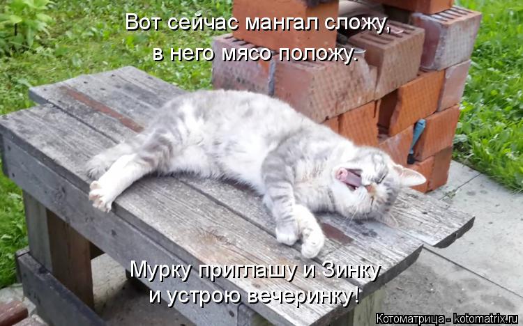 Котоматрица: Вот сейчас мангал сложу, в него мясо положу. и устрою вечеринку! Мурку приглашу и Зинку