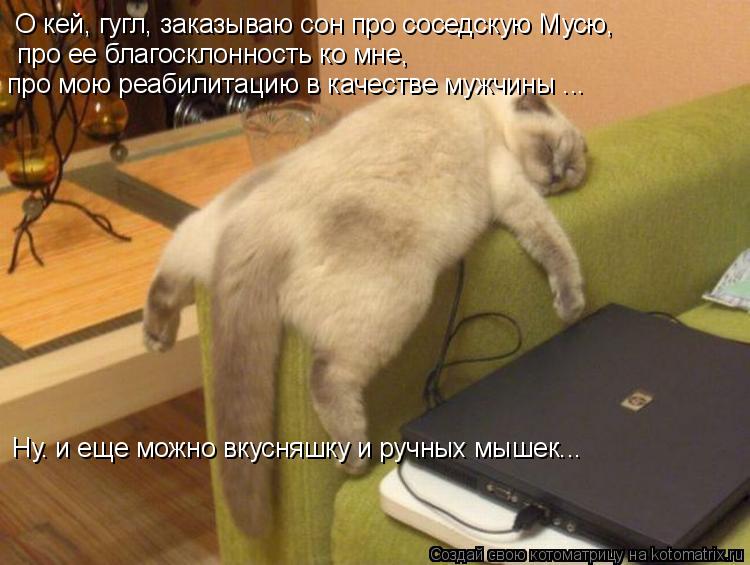 Котоматрица: О кей, гугл, заказываю сон про соседскую Мусю,  про ее благосклонность ко мне,  про мою реабилитацию в качестве мужчины ...  Ну. и еще можно вкус