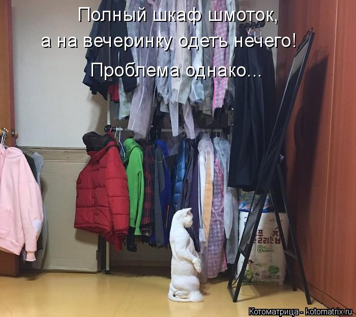Котоматрица: Полный шкаф шмоток, а на вечеринку одеть нечего! Проблема однако...