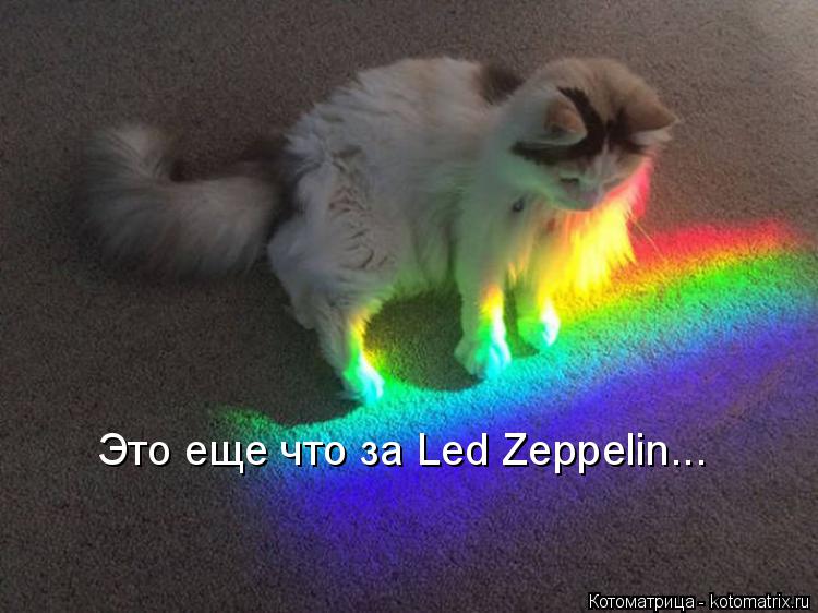 Котоматрица: Это еще что за Led Zeppelin...