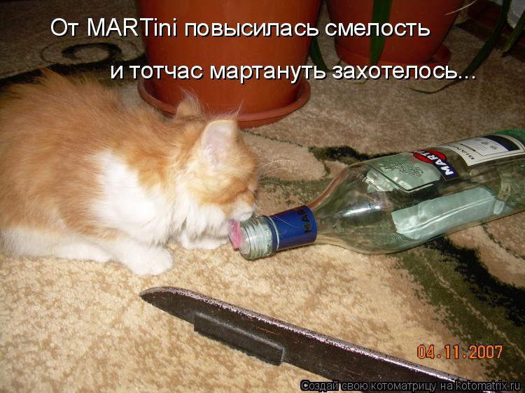 Котоматрица: От MARTini повысилась смелость и тотчас мартануть захотелось...