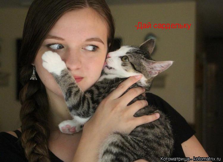 Котоматрица: -Дай сардельку