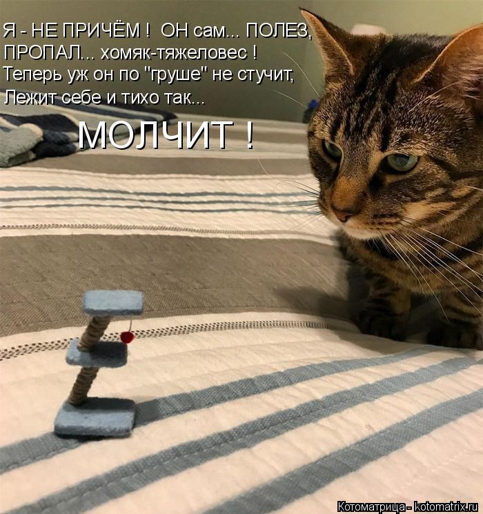 Котоматрица: Я - НЕ ПРИЧЁМ !  ОН сам... ПОЛЕЗ, ПРОПАЛ... хомяк-тяжеловес ! Теперь уж он по "груше" не стучит, Лежит себе и тихо так... МОЛЧИТ !