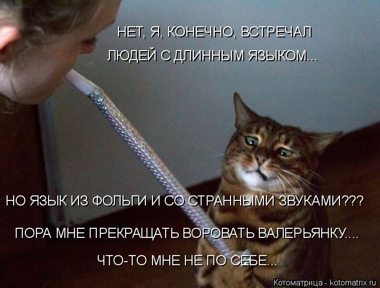 Котоматрица: НЕТ, Я, КОНЕЧНО, ВСТРЕЧАЛ  ЛЮДЕЙ С ДЛИННЫМ ЯЗЫКОМ...  ПОРА МНЕ ПРЕКРАЩАТЬ ВОРОВАТЬ ВАЛЕРЬЯНКУ.... ЧТО-ТО МНЕ НЕ ПО СЕБЕ... НО ЯЗЫК ИЗ ФОЛЬГИ И СО С