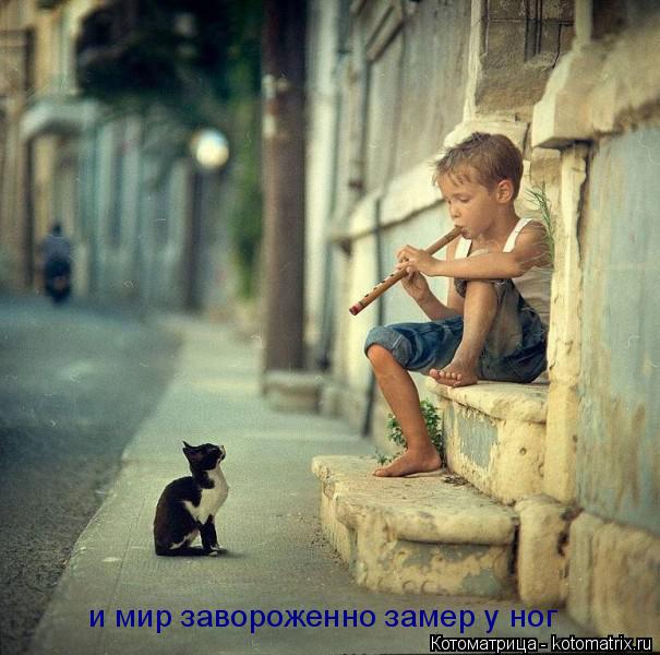 и мир завороженно замер у ног... Котоматрица: и мир завороженно замер у ног